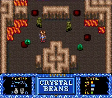 Crystal Beans from Dungeon Explorer (Japan) screen shot game playing